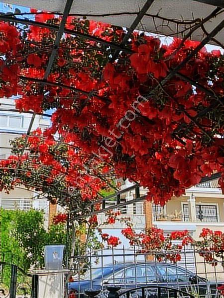 İzmir Çeşme Paşa Limanı Full Deniz Manzaralı Havuzlu Tek Villa - Görsel 11
