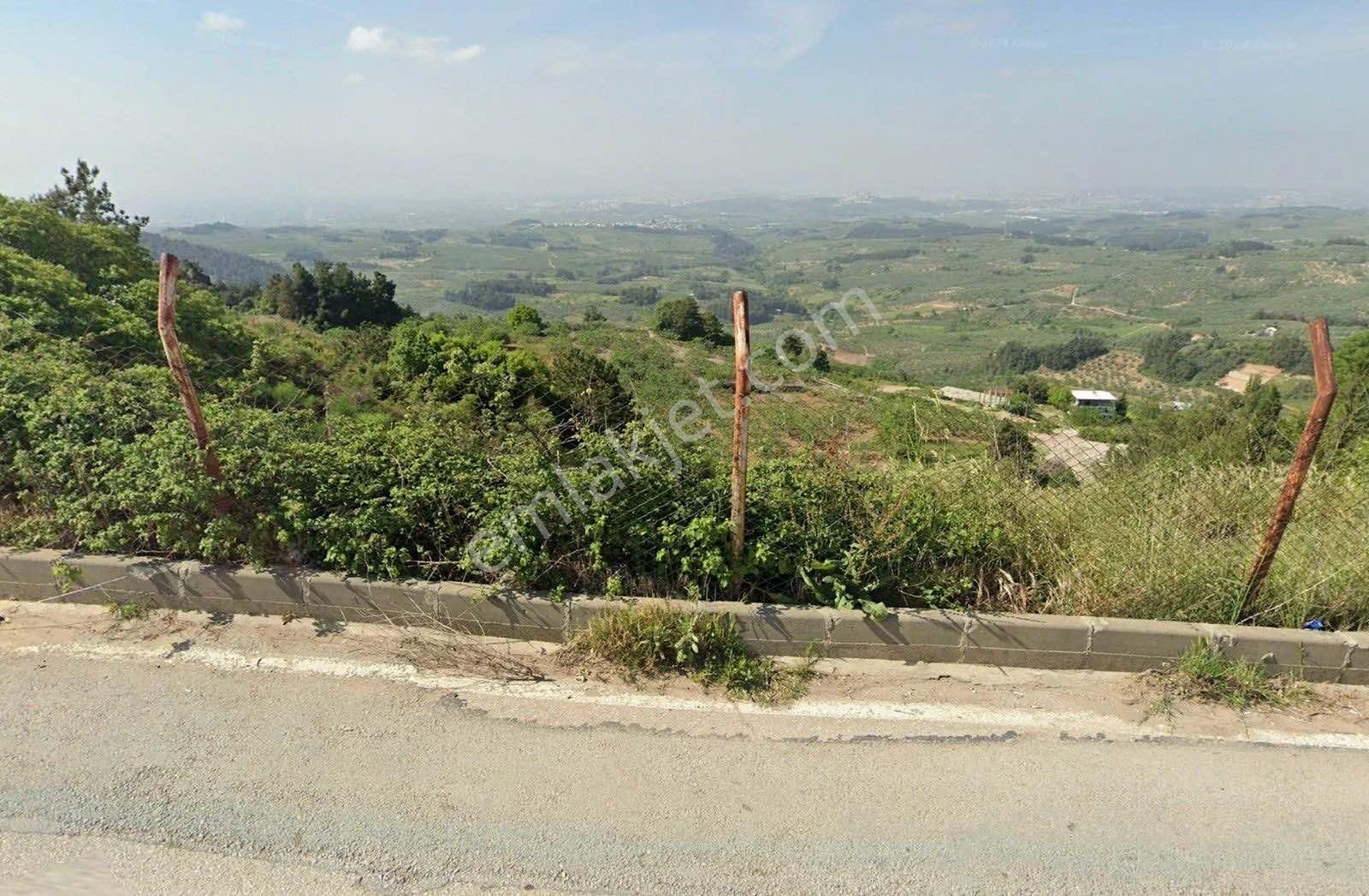 Bursa Osmangazi Fırsat Yatırım Ve Kullanım 3873 M2 Satılık Arsa - Görsel 4