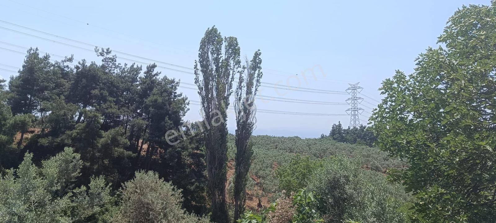 Bursa Osmangazi Fırsat Yatırım Ve Kullanım 3873 M2 Satılık Arsa - Görsel 13