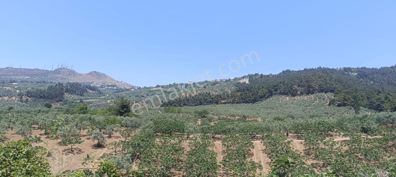 Bursa Osmangazi Fırsat Yatırım Ve Kullanım 3873 M2 Satılık Arsa - Görsel 5