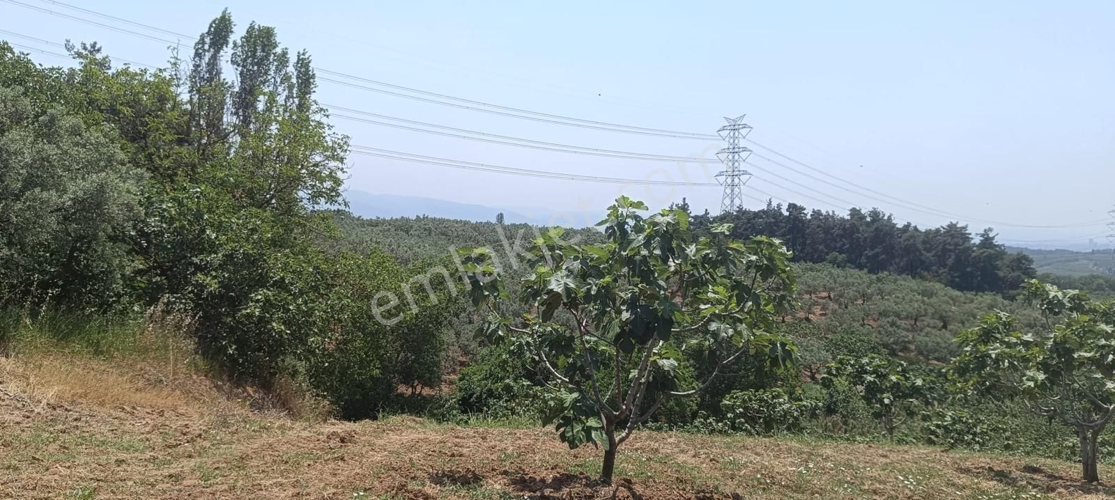 Bursa Osmangazi Fırsat Yatırım Ve Kullanım 3873 M2 Satılık Arsa - Görsel 12