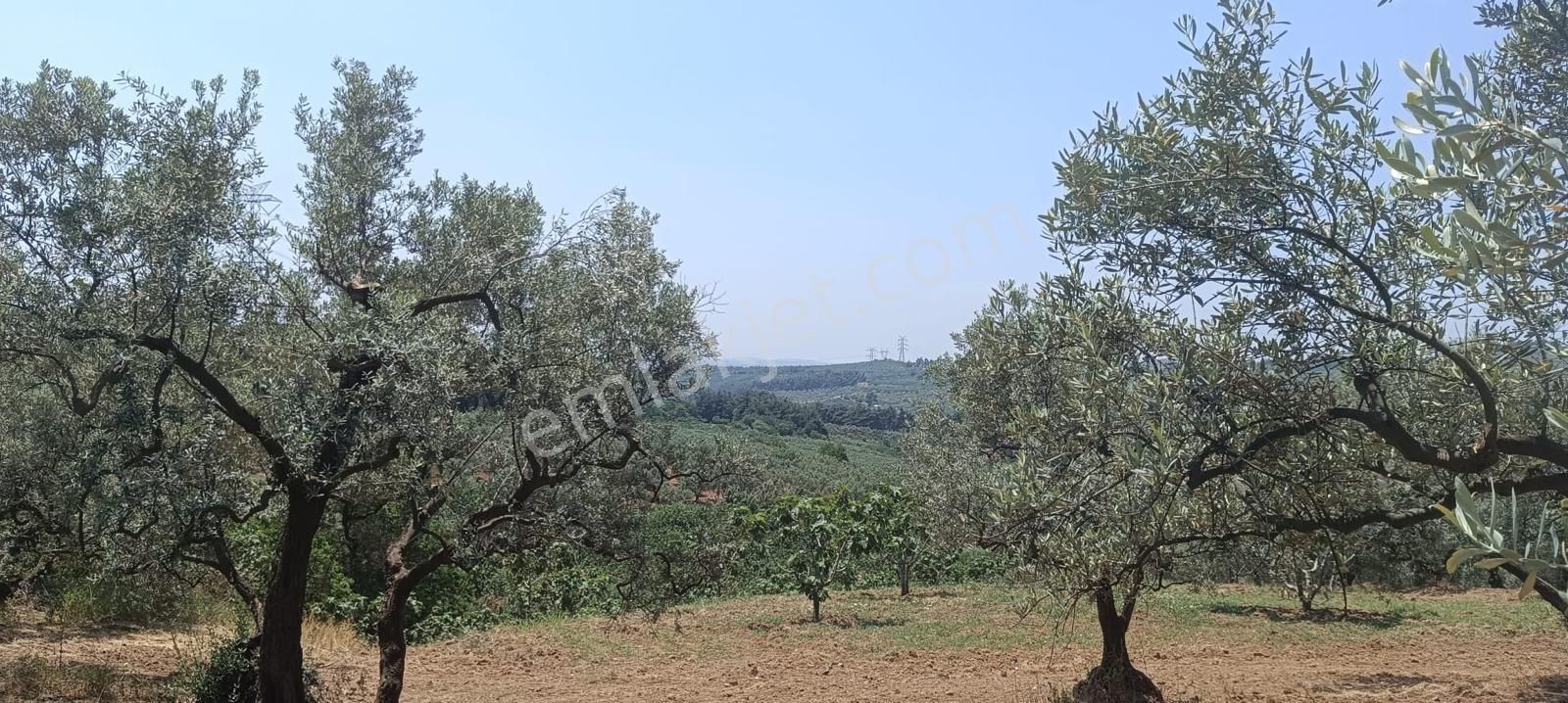 Bursa Osmangazi Fırsat Yatırım Ve Kullanım 3873 M2 Satılık Arsa - Görsel 18