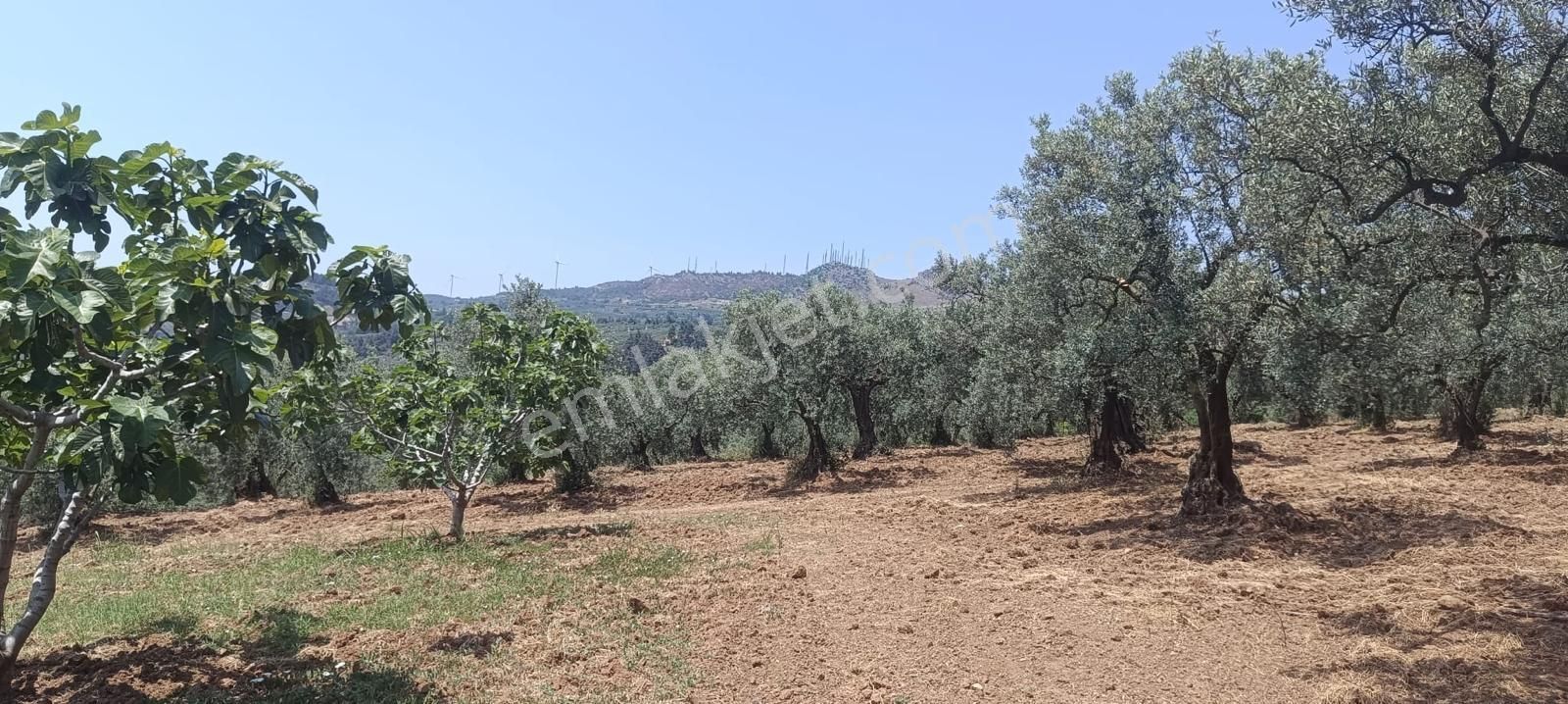 Bursa Osmangazi Fırsat Yatırım Ve Kullanım 3873 M2 Satılık Arsa - Görsel 16