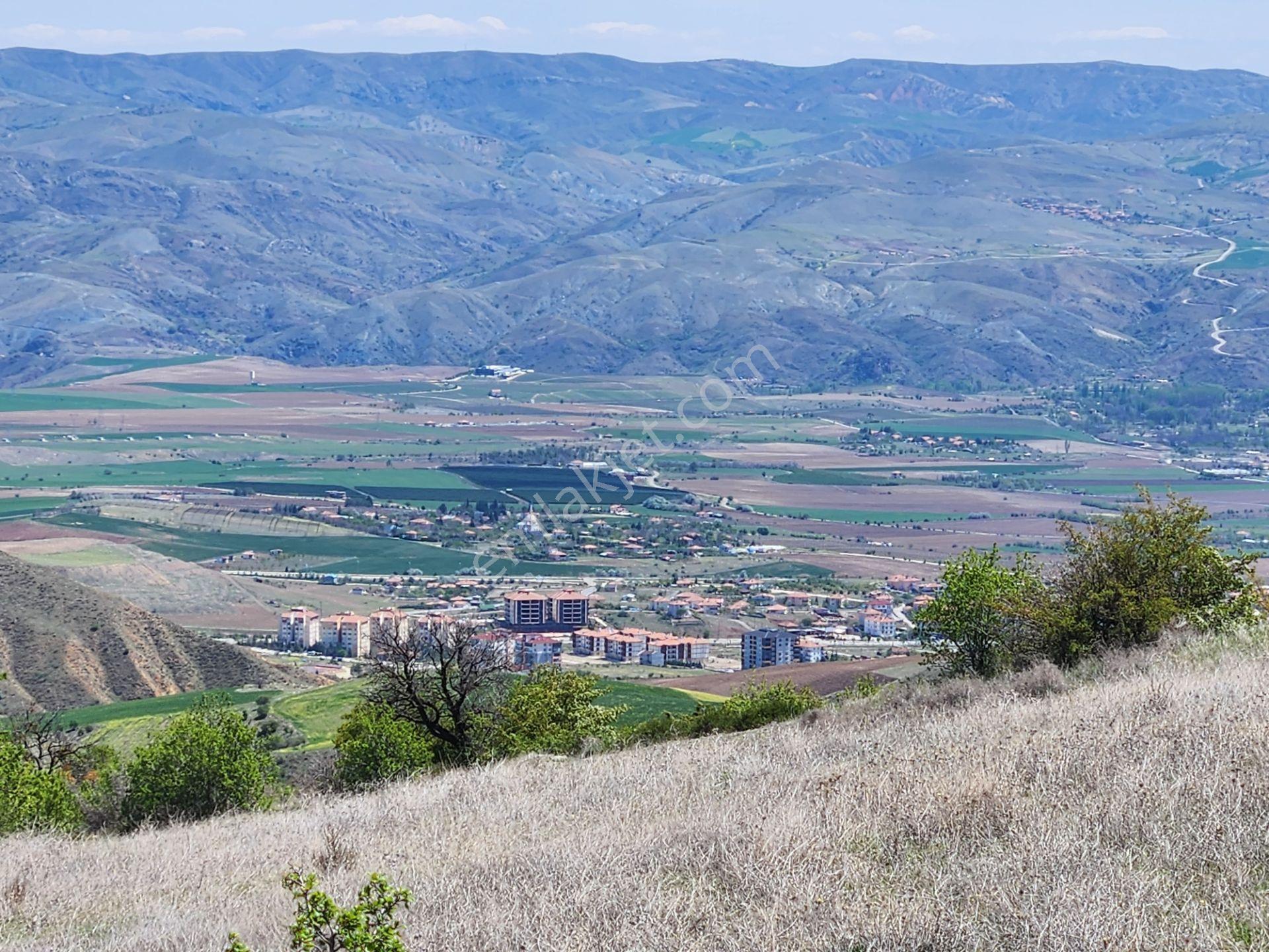Ankara Kalecik Merkez Yanı 39.224 M2 Tarla Elektrik Yol Su Var - Görsel 16