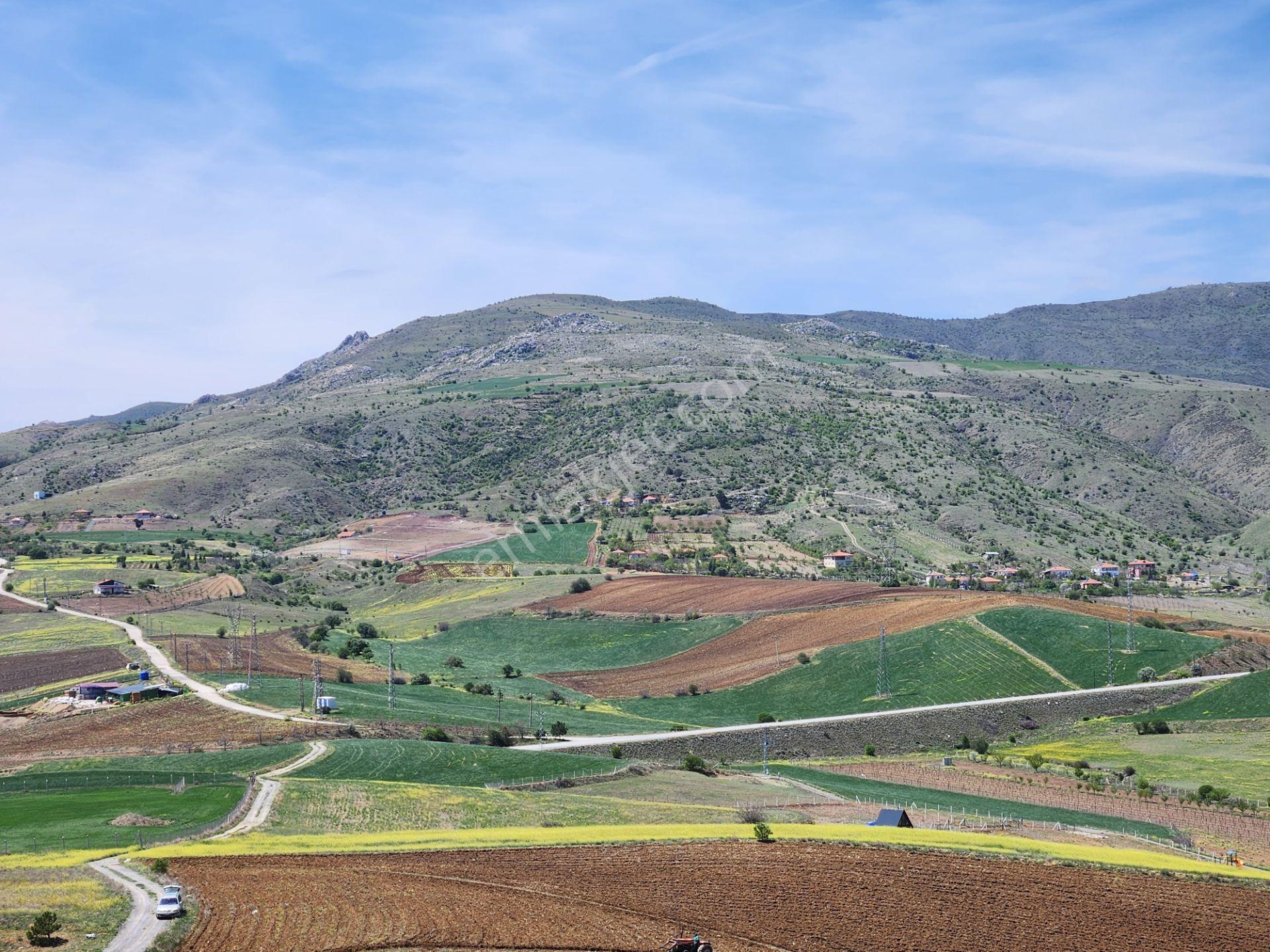 Ankara Kalecik Merkez Yanı 39.224 M2 Tarla Elektrik Yol Su Var - Görsel 7