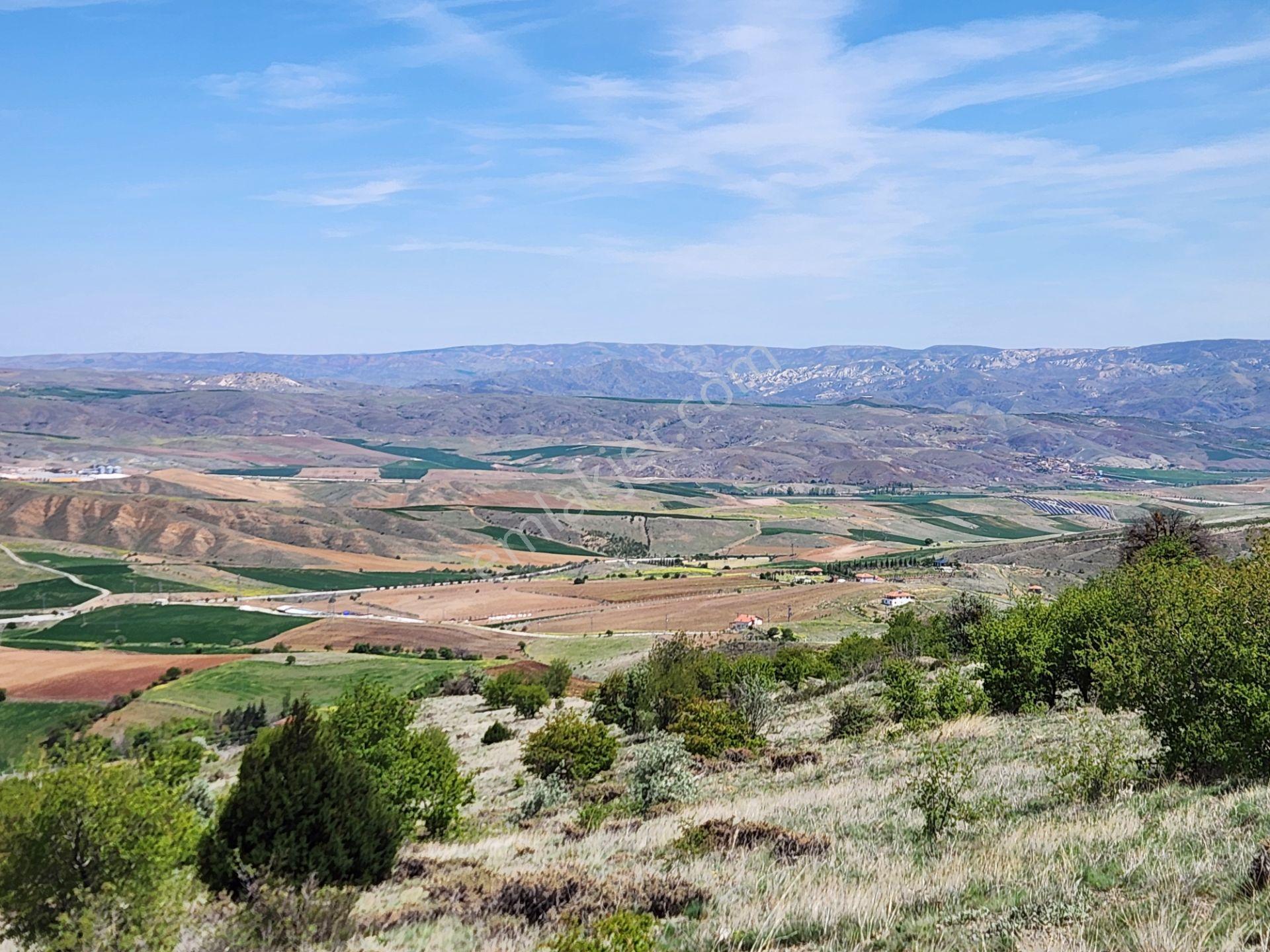 Ankara Kalecik Merkez Yanı 39.224 M2 Tarla Elektrik Yol Su Var - Görsel 28