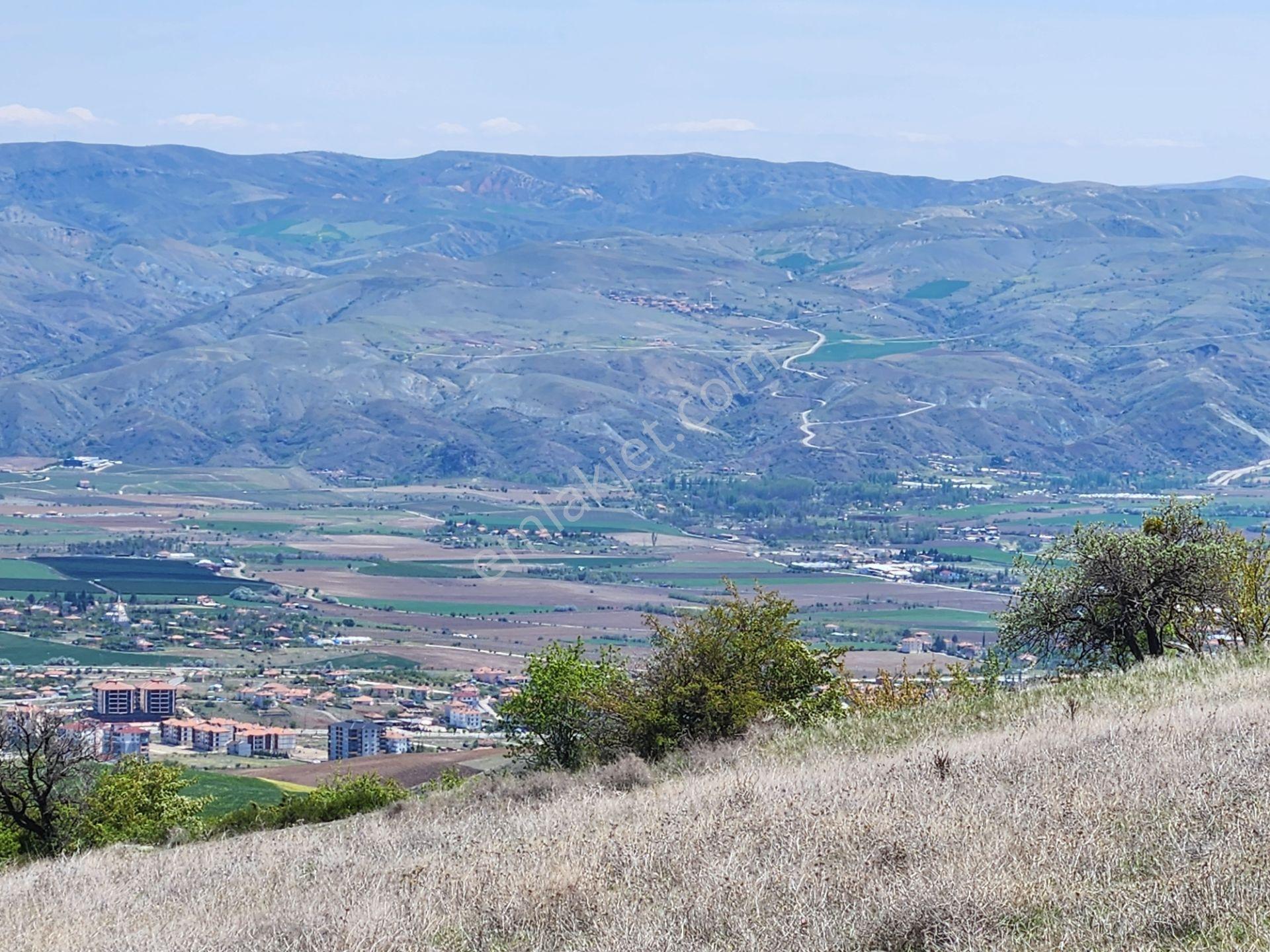 Ankara Kalecik Merkez Yanı 39.224 M2 Tarla Elektrik Yol Su Var - Görsel 15