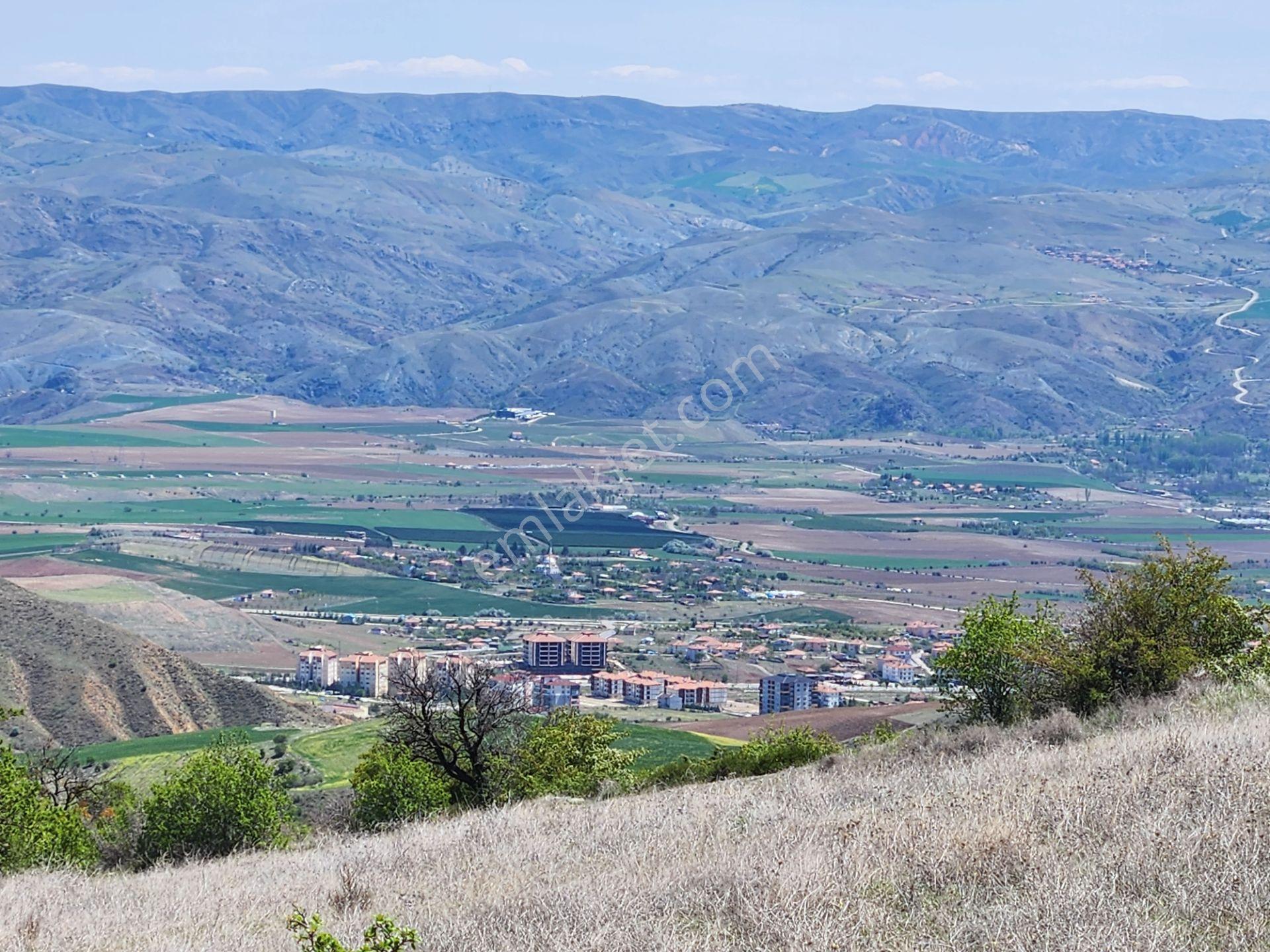 Ankara Kalecik Merkez Yanı 39.224 M2 Tarla Elektrik Yol Su Var - Görsel 14