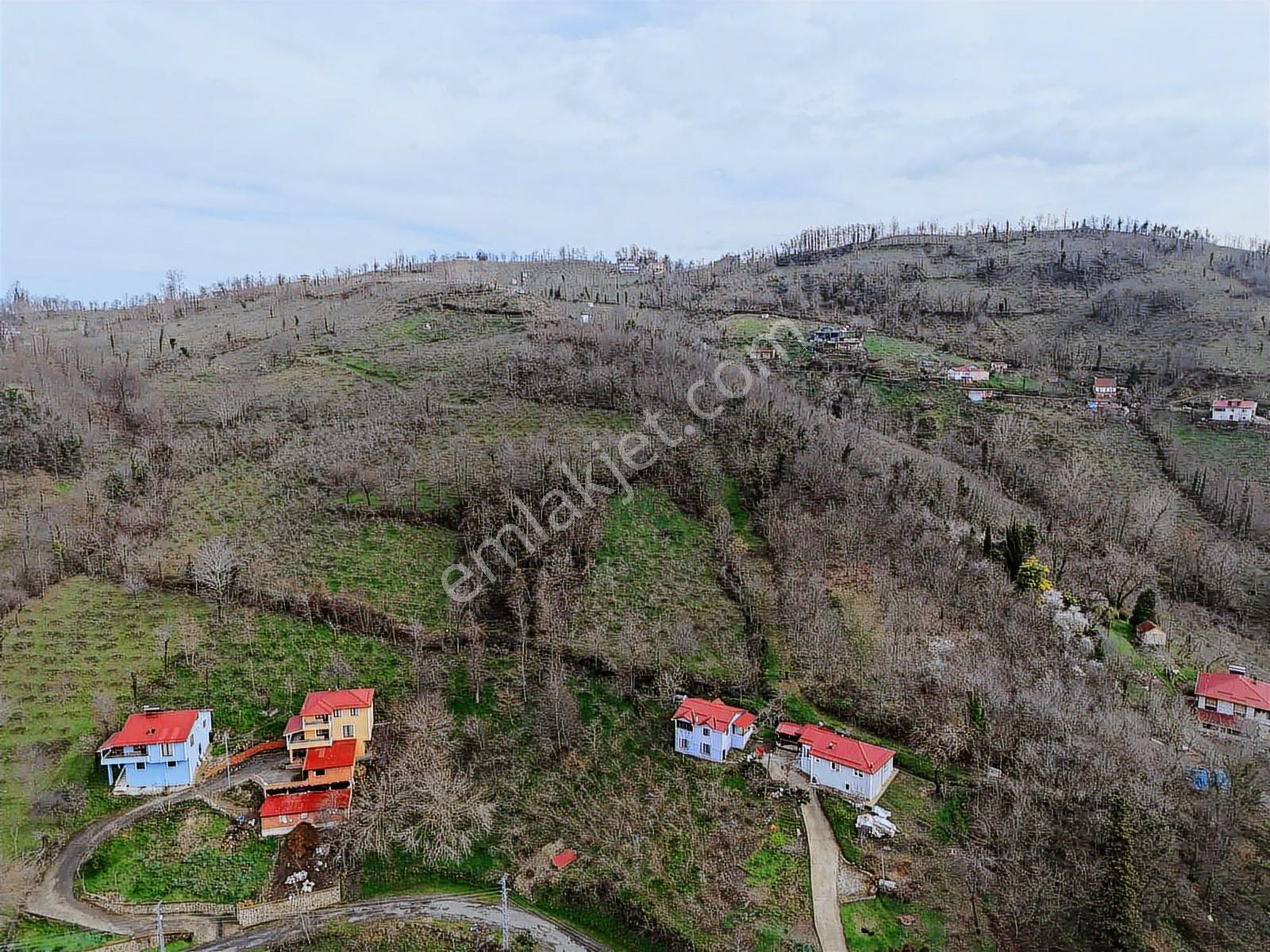 Ordu Saray Mah Muhteşem Konum Satılık Arsa - Görsel 21