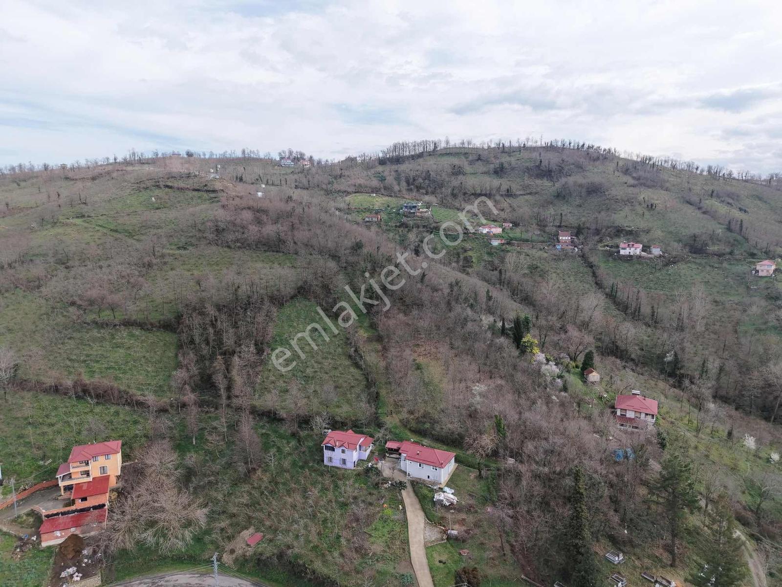 Ordu Saray Mah Muhteşem Konum Satılık Arsa - Görsel 4
