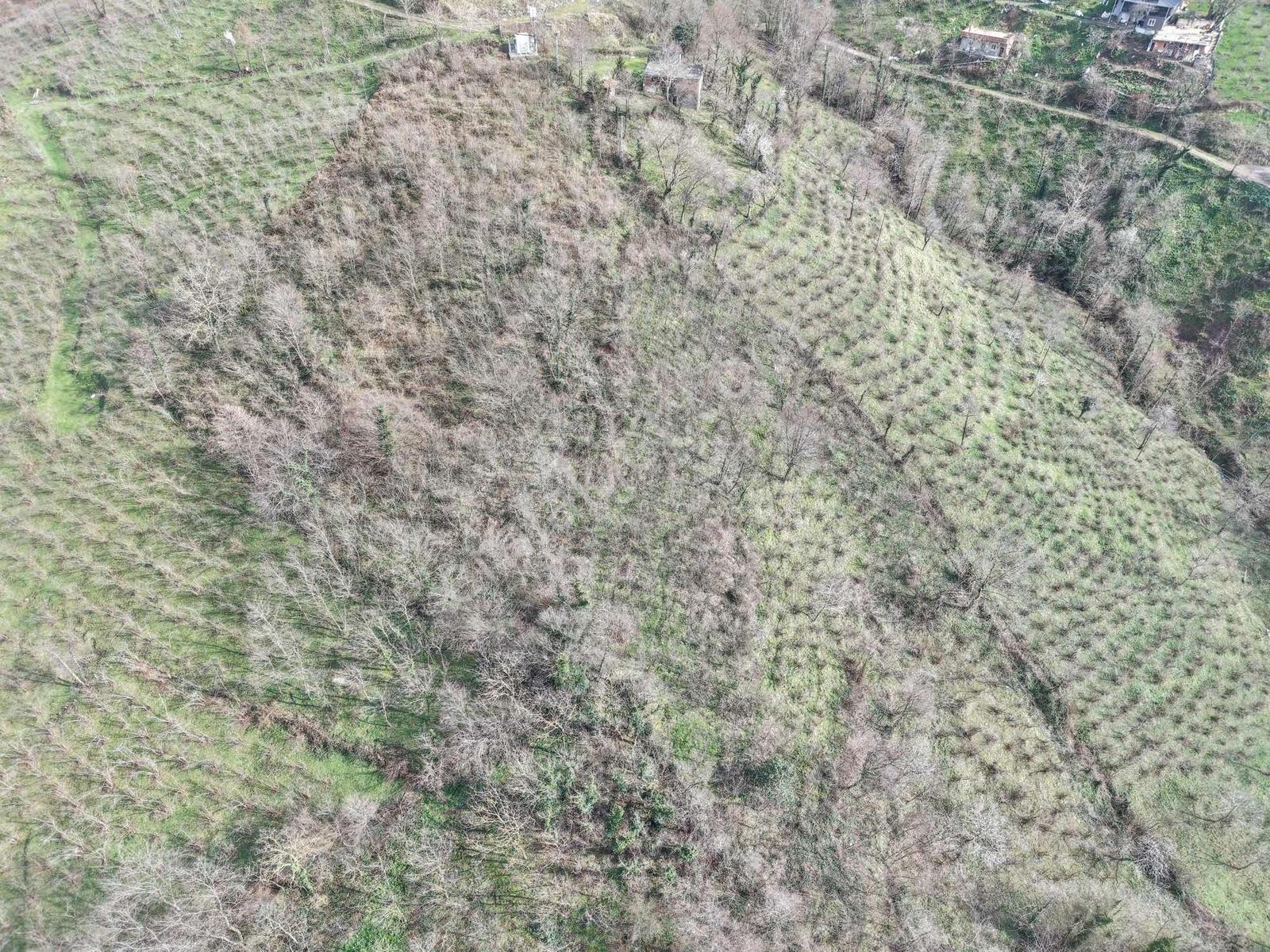 Ordu Saray Mah Muhteşem Konum Satılık Arsa - Görsel 24