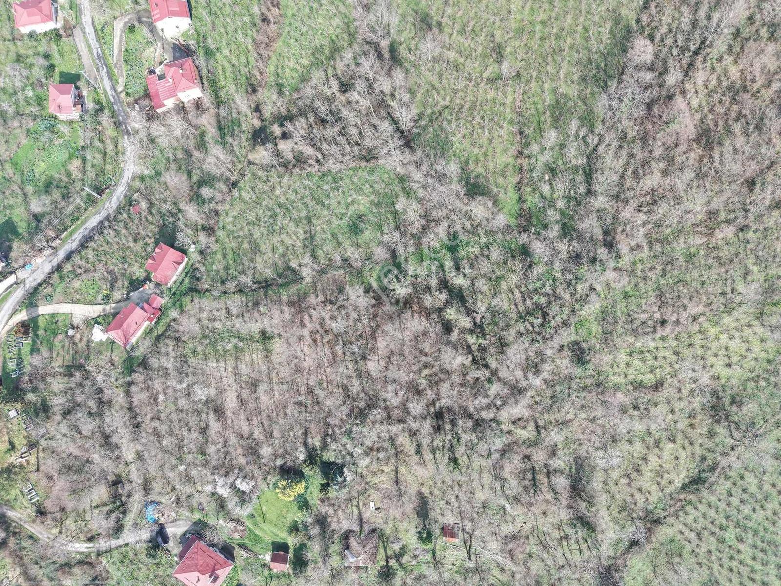 Ordu Saray Mah Muhteşem Konum Satılık Arsa - Görsel 15