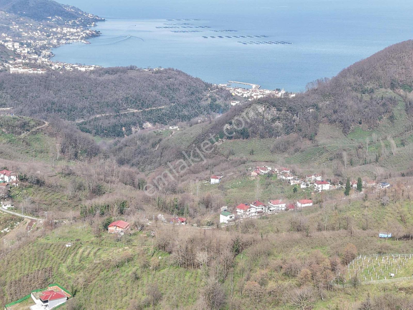 Ordu Saray Mah Muhteşem Konum Satılık Arsa - Görsel 17