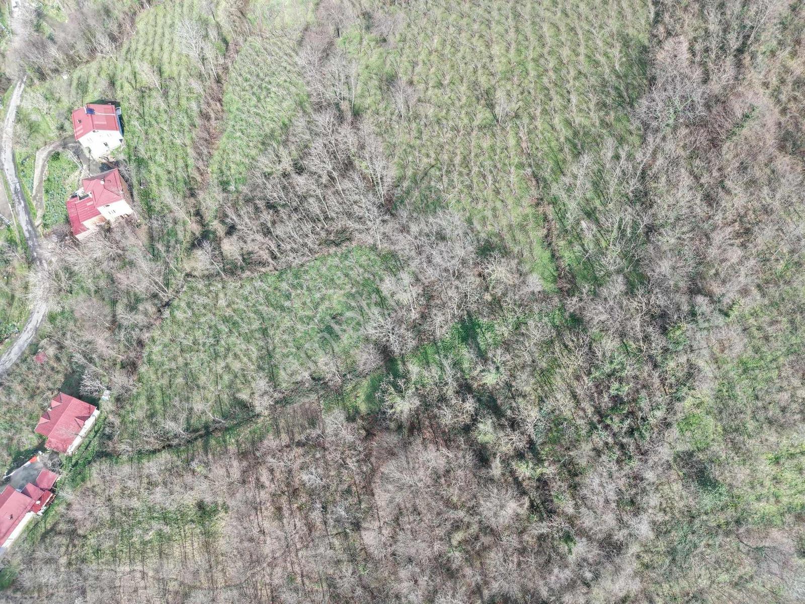 Ordu Saray Mah Muhteşem Konum Satılık Arsa - Görsel 14