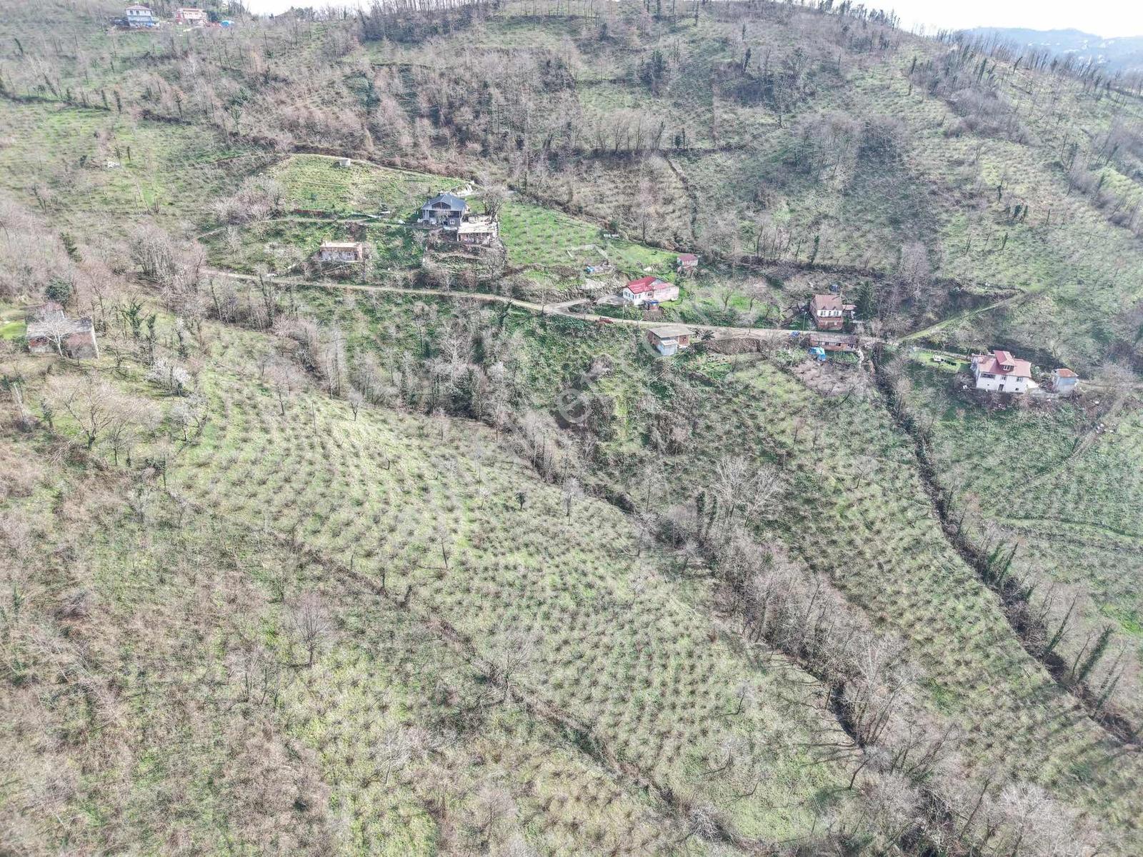 Ordu Saray Mah Muhteşem Konum Satılık Arsa - Görsel 25