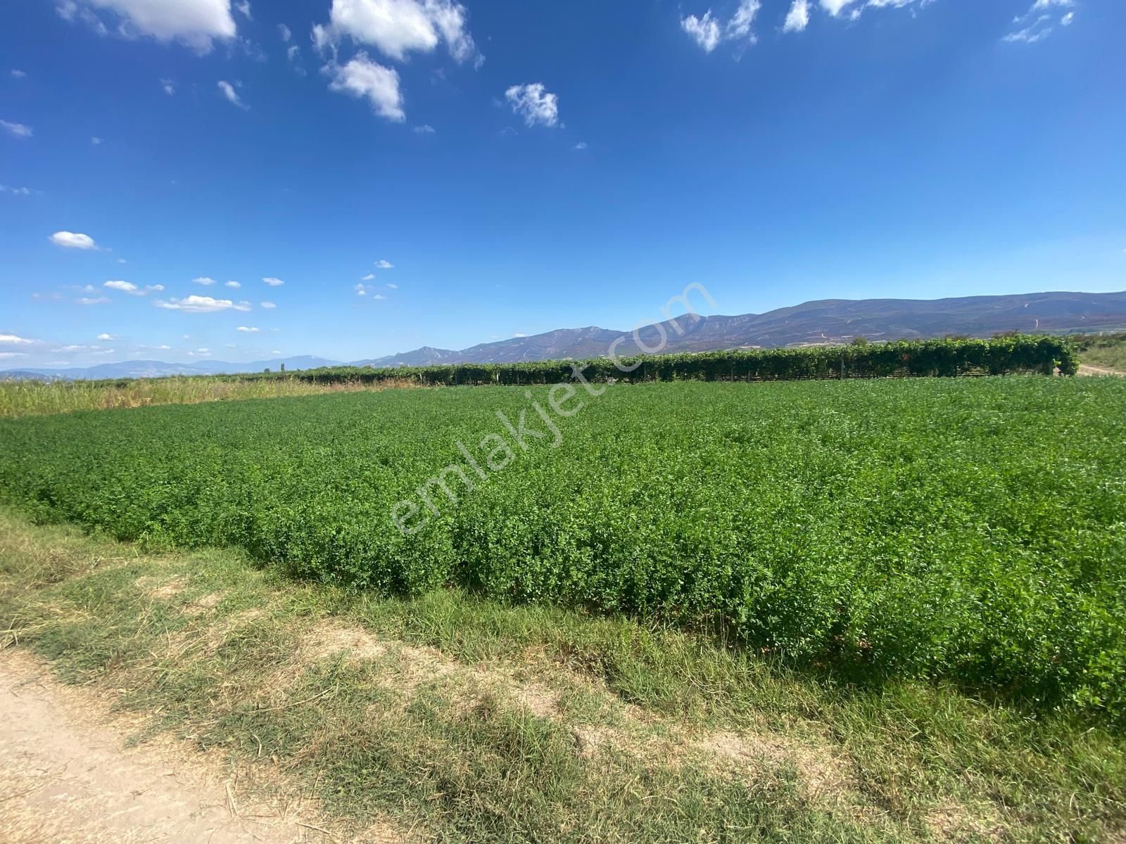 Sahibinden Yatırımlık Acil Satılık 1203m2 Boş Hobi Bahçesi Tarla