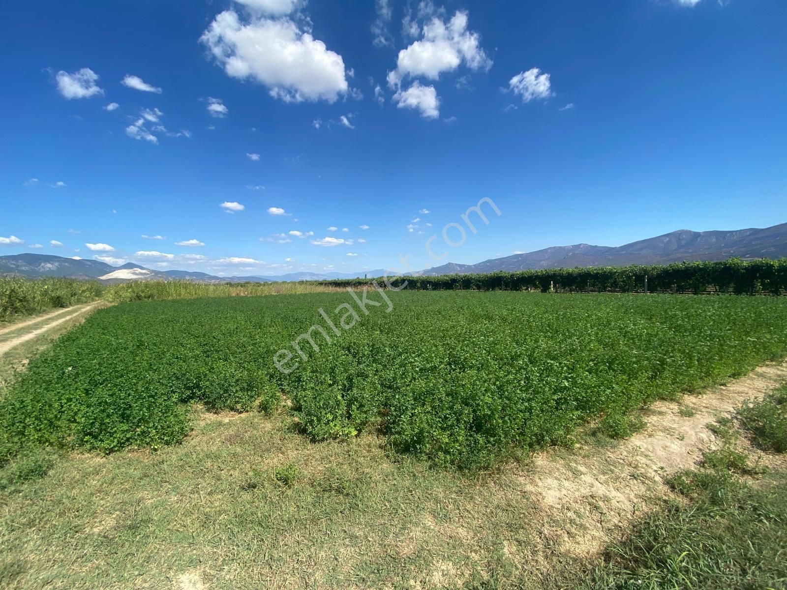 Sahibinden Yatırımlık Acil Satılık 1203m2 Boş Hobi Bahçesi Tarla - Görsel 15