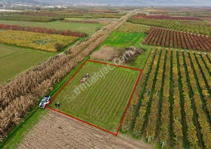 Sahibinden Yatırımlık Acil Satılık 1203m2 Boş Hobi Bahçesi Tarla - Görsel 5