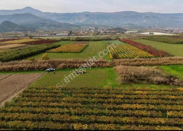 Sahibinden Yatırımlık Acil Satılık 1203m2 Boş Hobi Bahçesi Tarla - Görsel 6