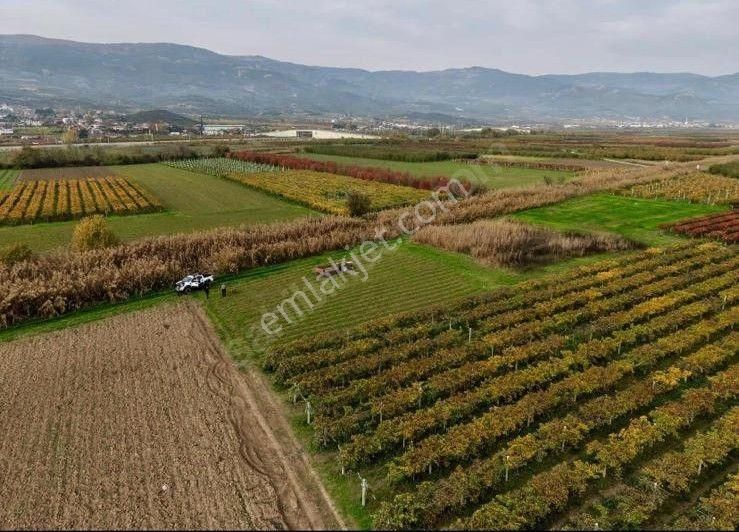 Sahibinden Yatırımlık Acil Satılık 1203m2 Boş Hobi Bahçesi Tarla - Görsel 7