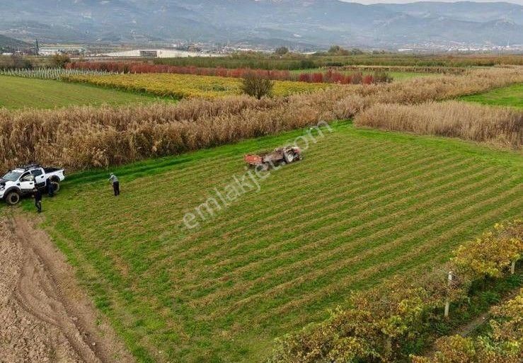 Sahibinden Yatırımlık Acil Satılık 1203m2 Boş Hobi Bahçesi Tarla - Görsel 9