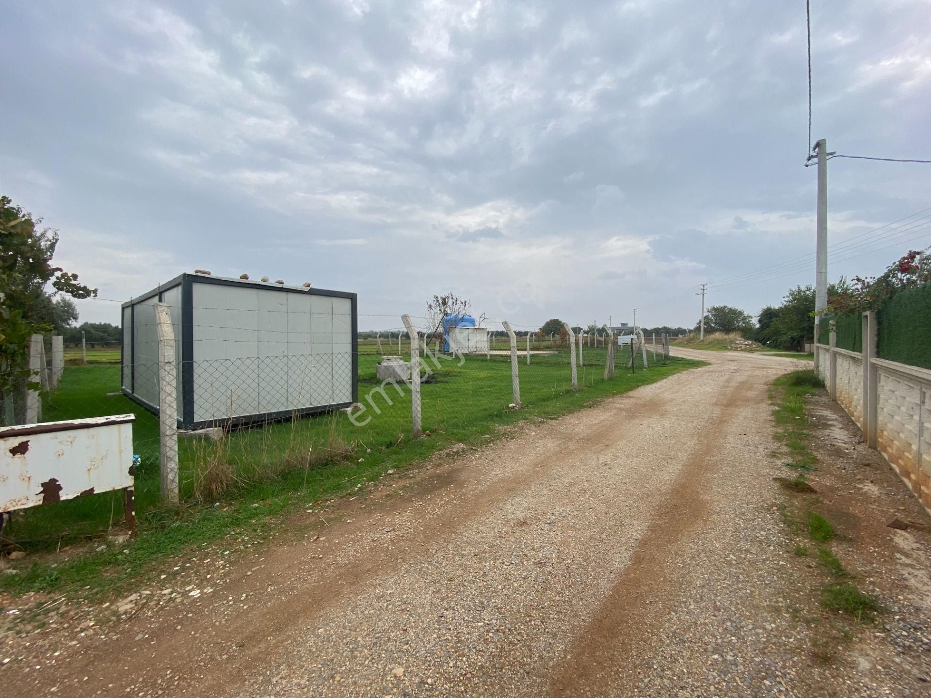 Mendereste Net 500 M2 ( Açıklamayı Okuyun) Komisyonsuz - Görsel 21