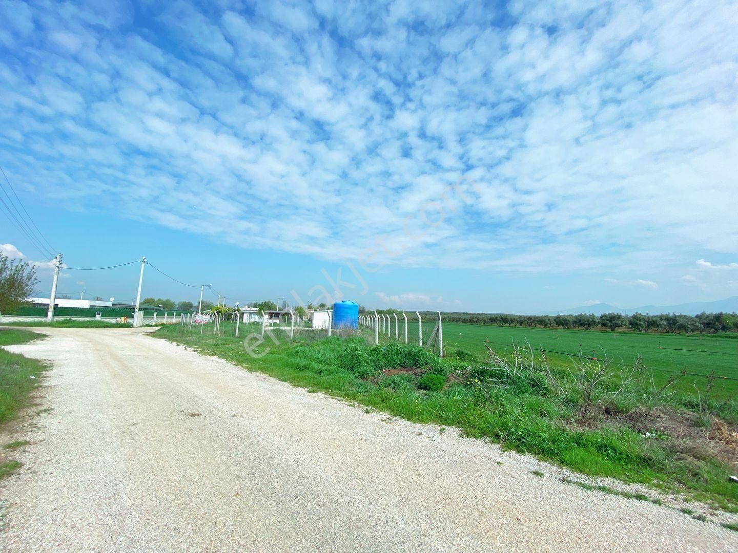 Mendereste Net 500 M2 ( Açıklamayı Okuyun) Komisyonsuz - Görsel 32