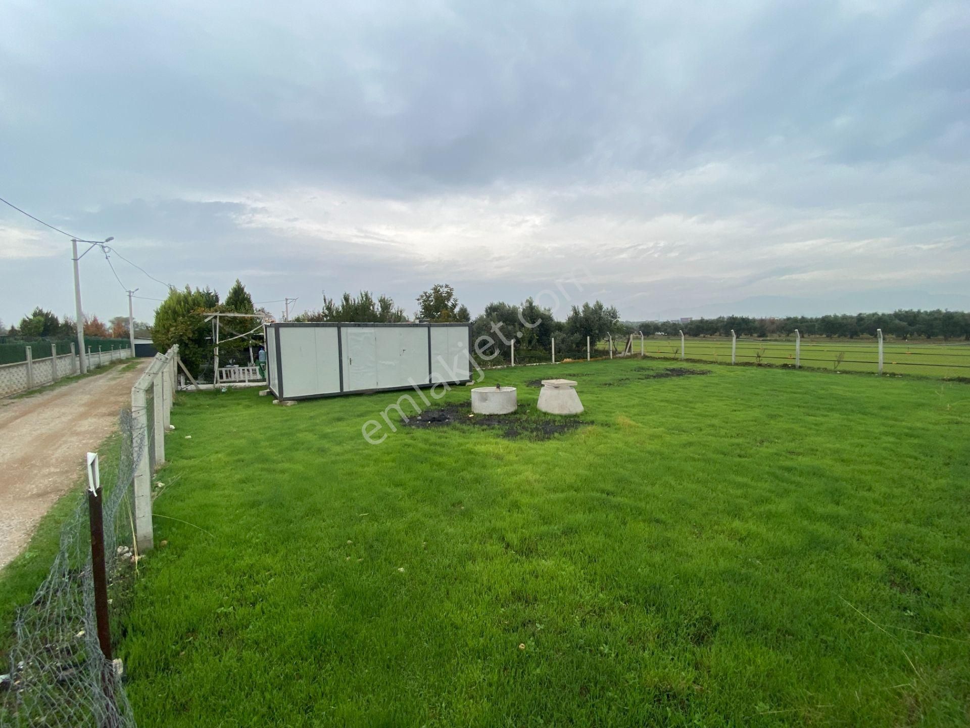 Mendereste Net 500 M2 ( Açıklamayı Okuyun) Komisyonsuz