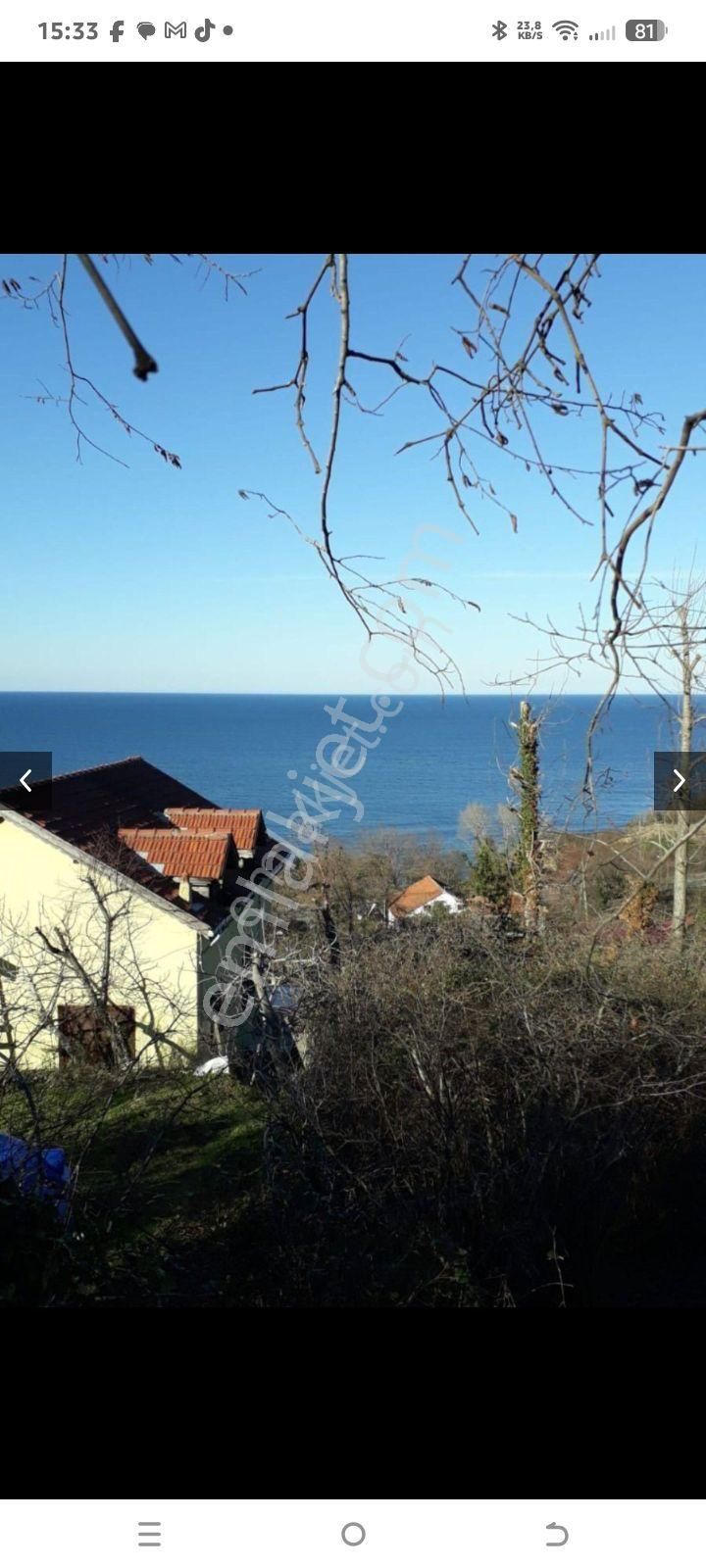 Perşembe Caytepe Satılık İmarlı Bahçe - Görsel 3