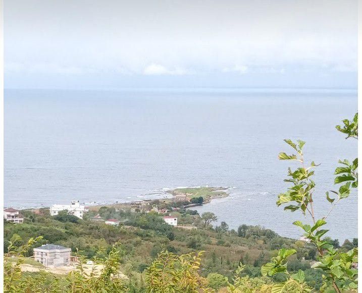 Perşembe Caytepe Satılık İmarlı Bahçe - Görsel 6