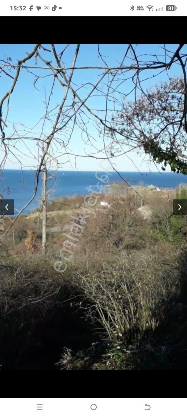 Perşembe Caytepe Satılık İmarlı Bahçe - Görsel 4