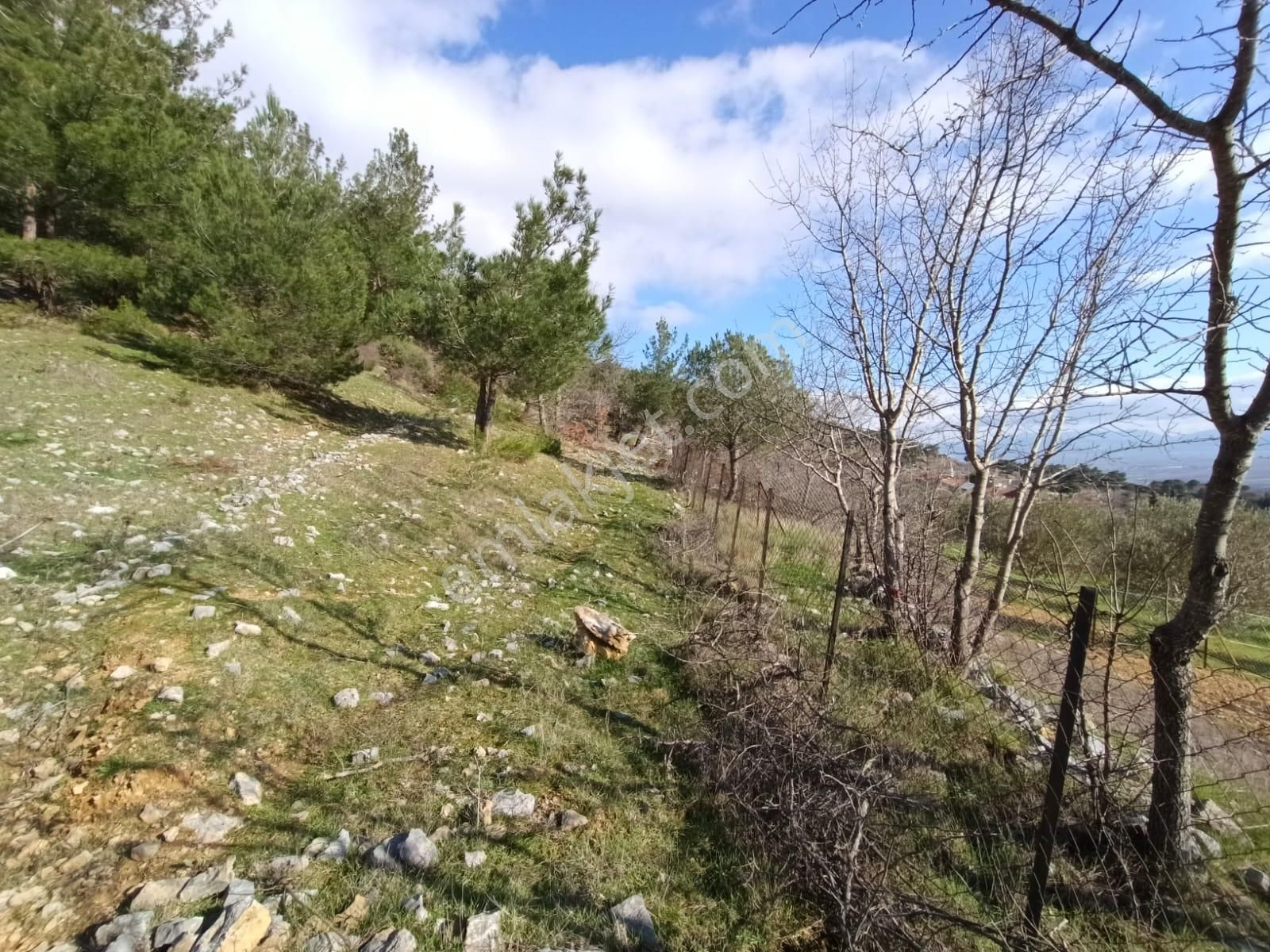 Çamoba Köyünde %50 2 Kat İmarlı 734 M2 Arsa - Görsel 5