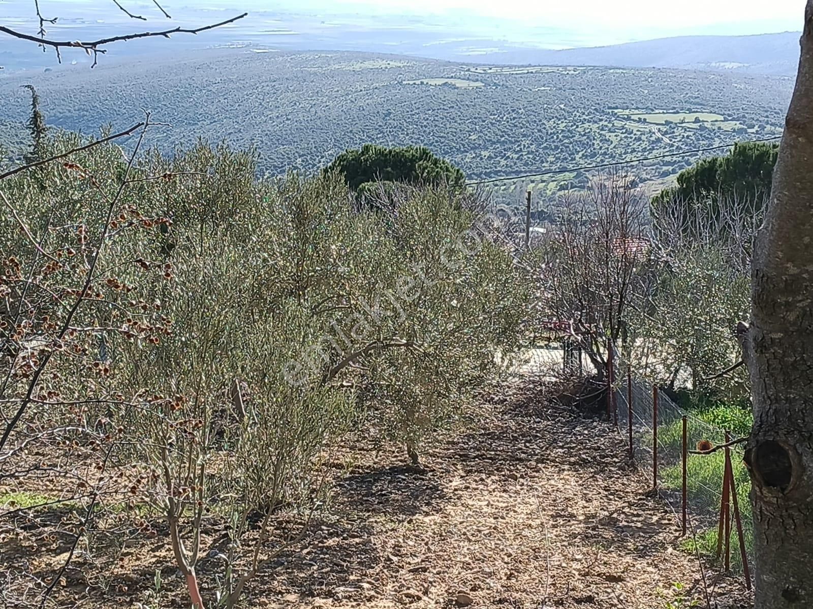 Çamoba Köyünde %50 2 Kat İmarlı 734 M2 Arsa - Görsel 4