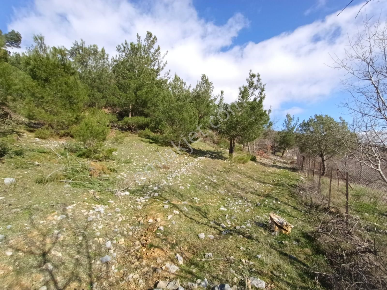 Çamoba Köyünde %50 2 Kat İmarlı 734 M2 Arsa - Görsel 6