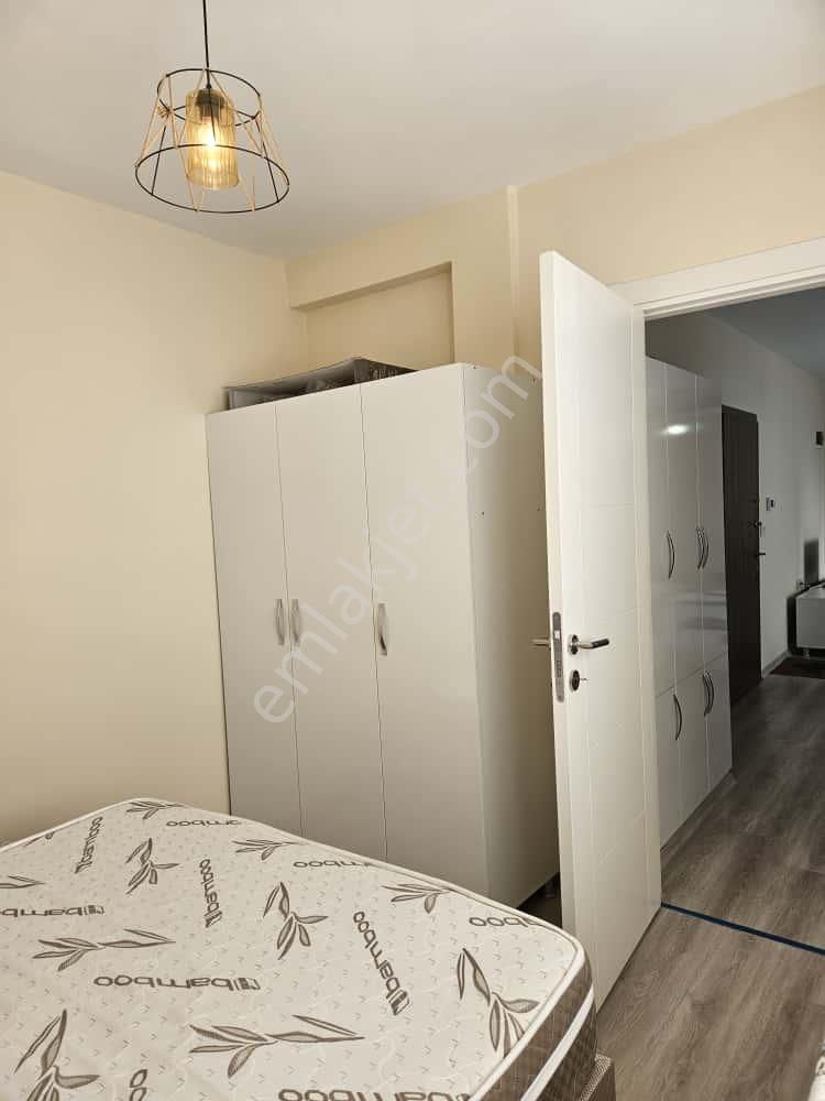 Adana Sarıçam Çarkıparede Stadyuma Yakın Yola Yakın Konumda Eşyalı 1+1 Kiralık Daire - Görsel 12