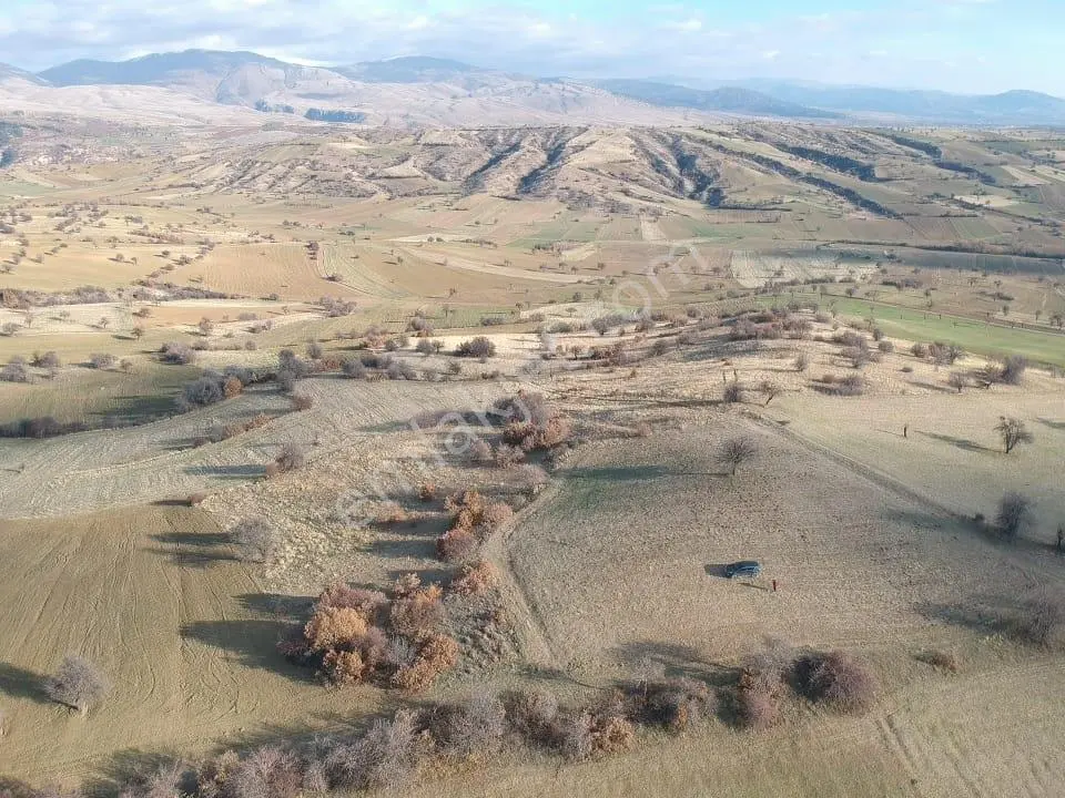 Isparta Yalvaç Çamharman Mah. 4821 M2 Ekilir Tarla Yolu Var - Görsel 2