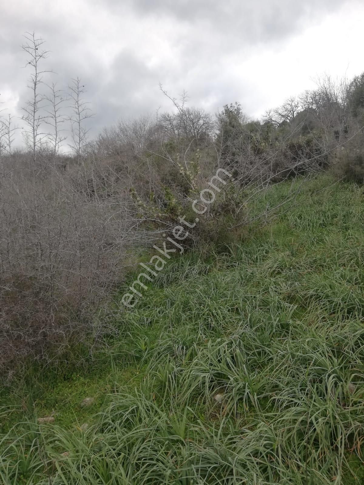 Hamzalısüleymaniye'de Göz Alıcı Satılık Tarla!! - Görsel 10