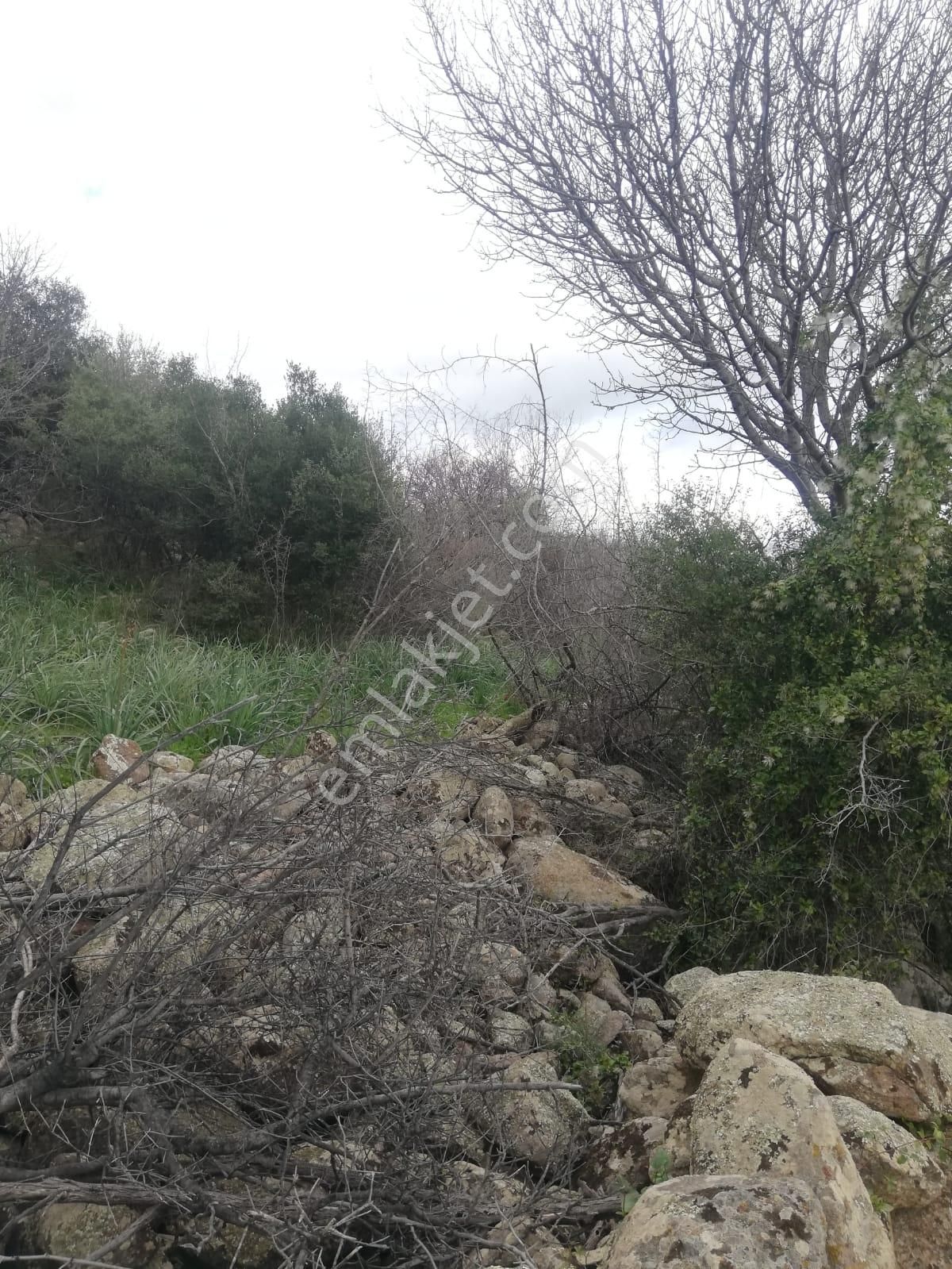 Hamzalısüleymaniye'de Göz Alıcı Satılık Tarla!! - Görsel 6