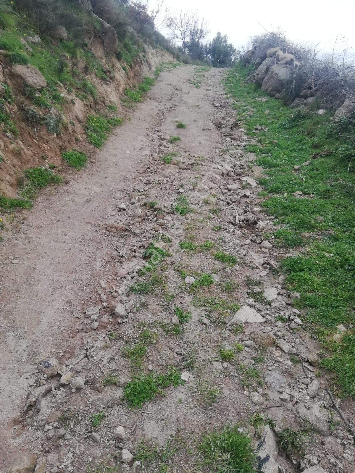 Hamzalısüleymaniye'de Göz Alıcı Satılık Tarla!! - Görsel 4