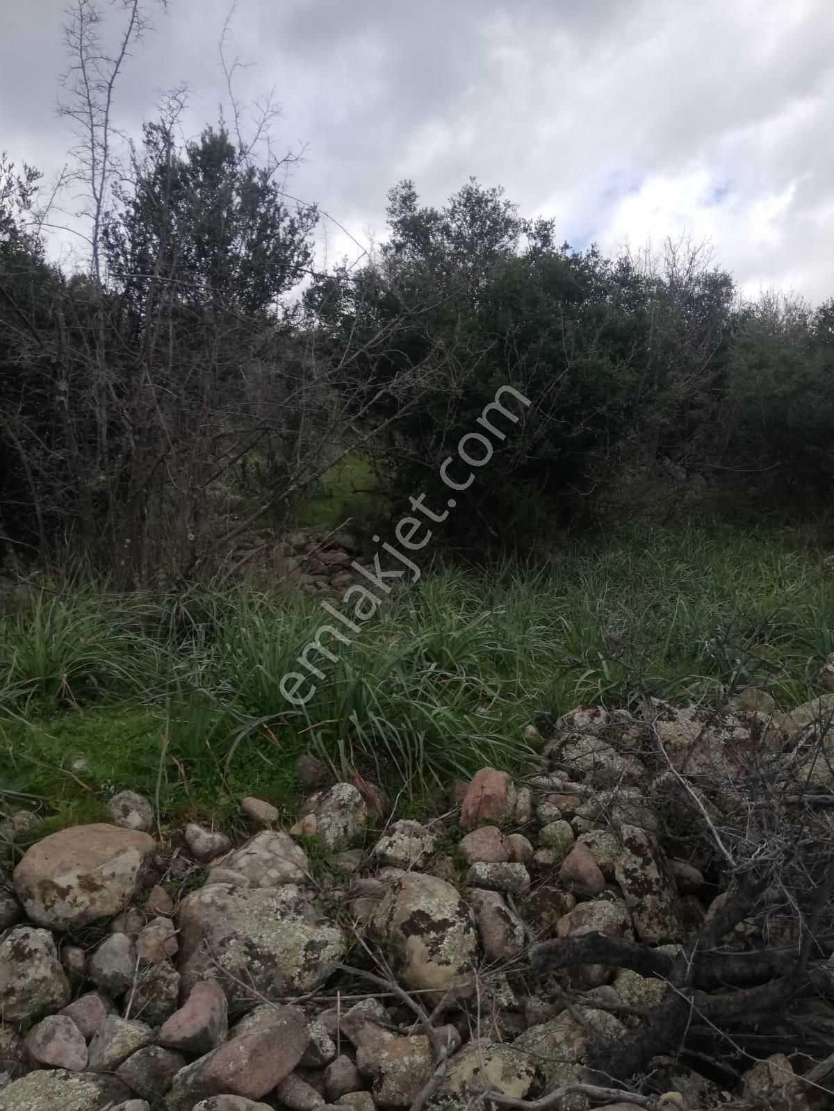 Hamzalısüleymaniye'de Göz Alıcı Satılık Tarla!! - Görsel 5