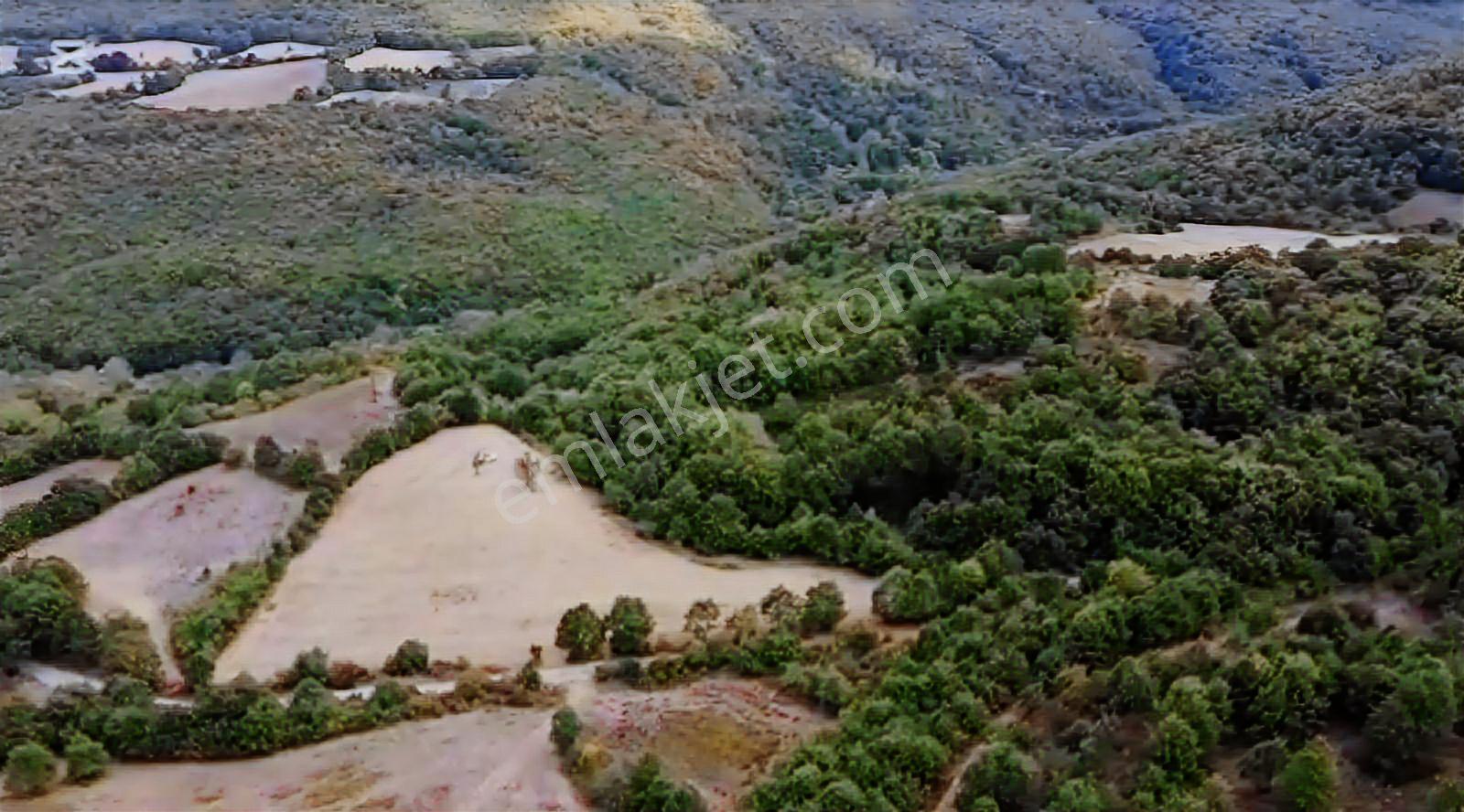 Öztarlacıdan Akarca Yatırımlık Fırsat Arazi 1004 M2 - Görsel 16