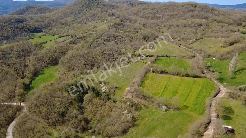Öztarlacıdan Akarca Yatırımlık Fırsat Arazi 1004 M2