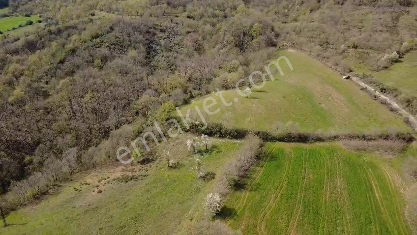 Öztarlacıdan Akarca Yatırımlık Fırsat Arazi 1004 M2 - Görsel 3