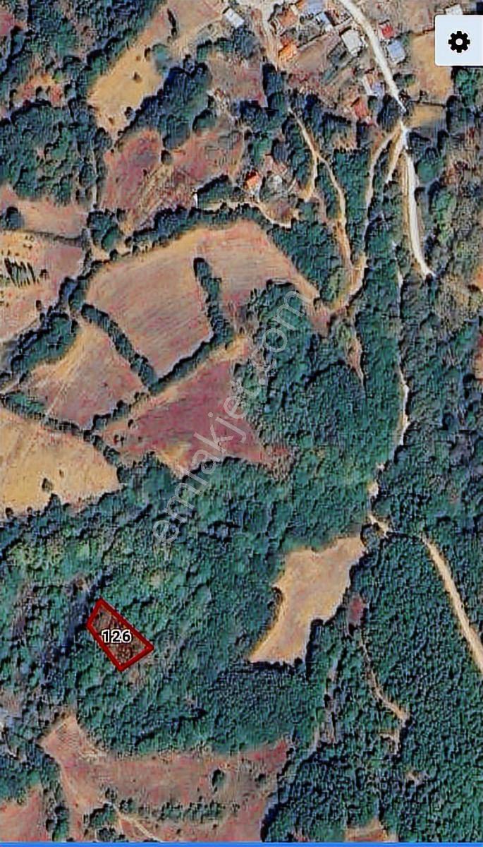 Öztarlacıdan Akarca Yatırımlık Fırsat Arazi 1004 M2 - Görsel 6
