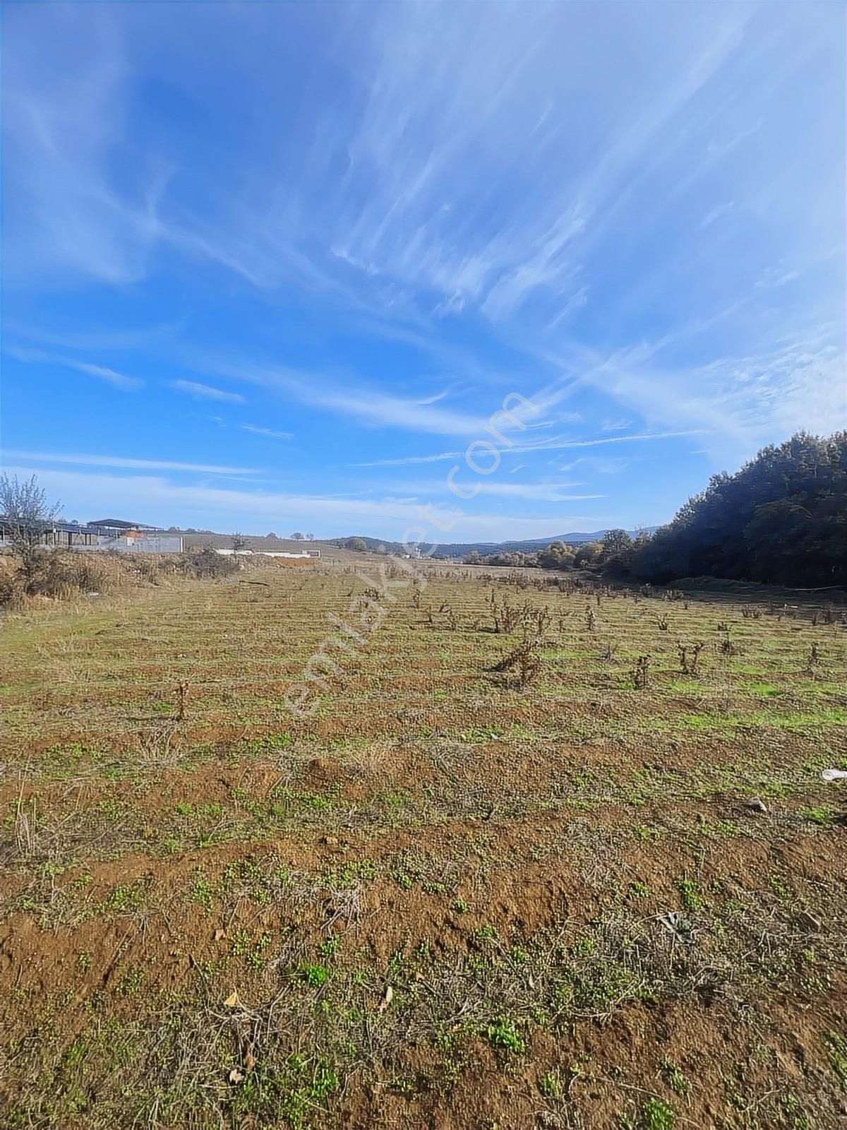 Dağyenice Göleti Yakınında Yolu Mevcut Satılık Tarla