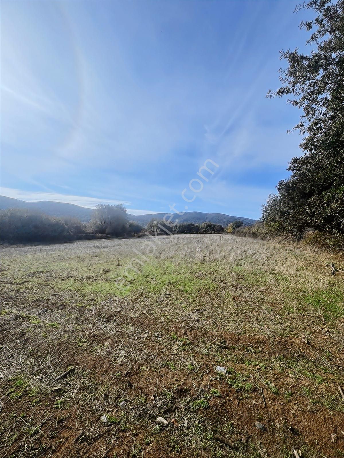 Dağyenice Göleti Yakınında Yolu Mevcut Satılık Tarla - Görsel 3