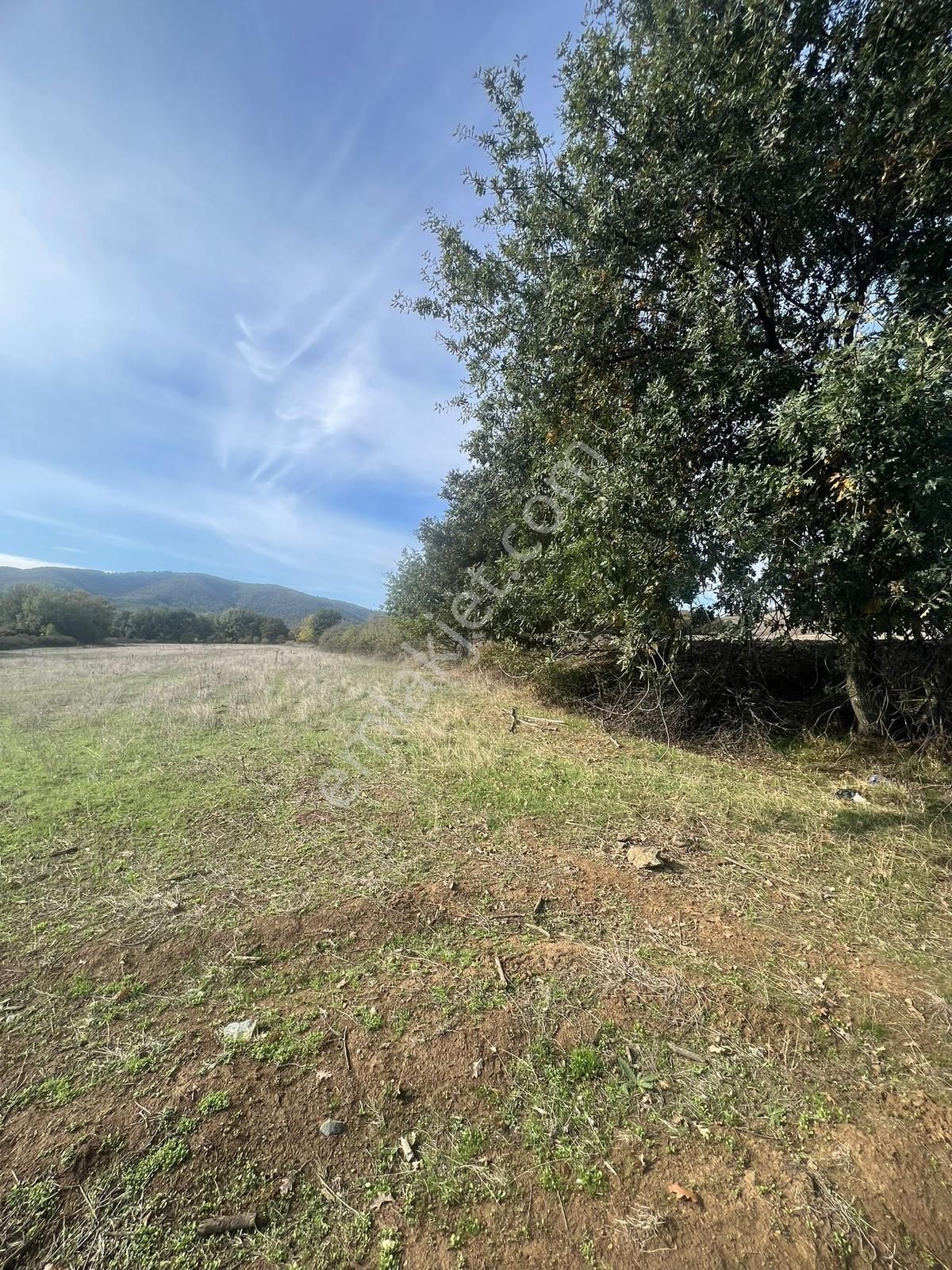 Dağyenice Göleti Yakınında Yolu Mevcut Satılık Tarla - Görsel 4