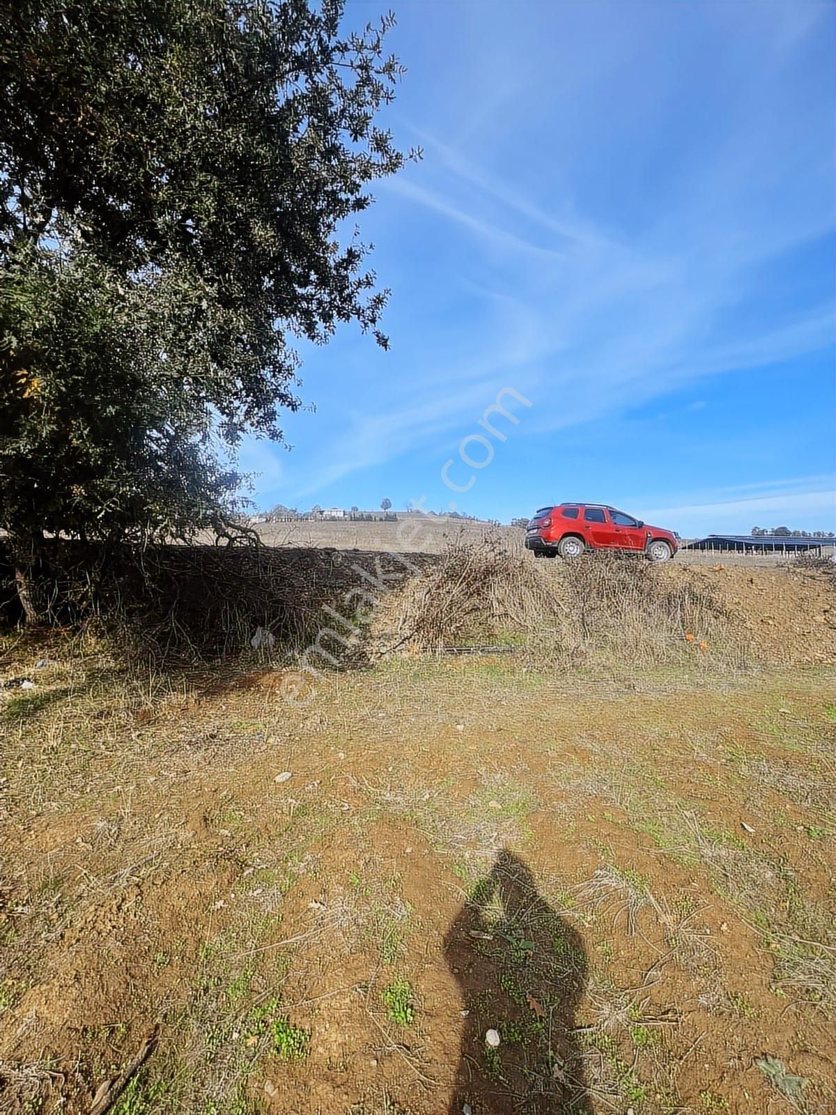 Dağyenice Göleti Yakınında Yolu Mevcut Satılık Tarla - Görsel 2