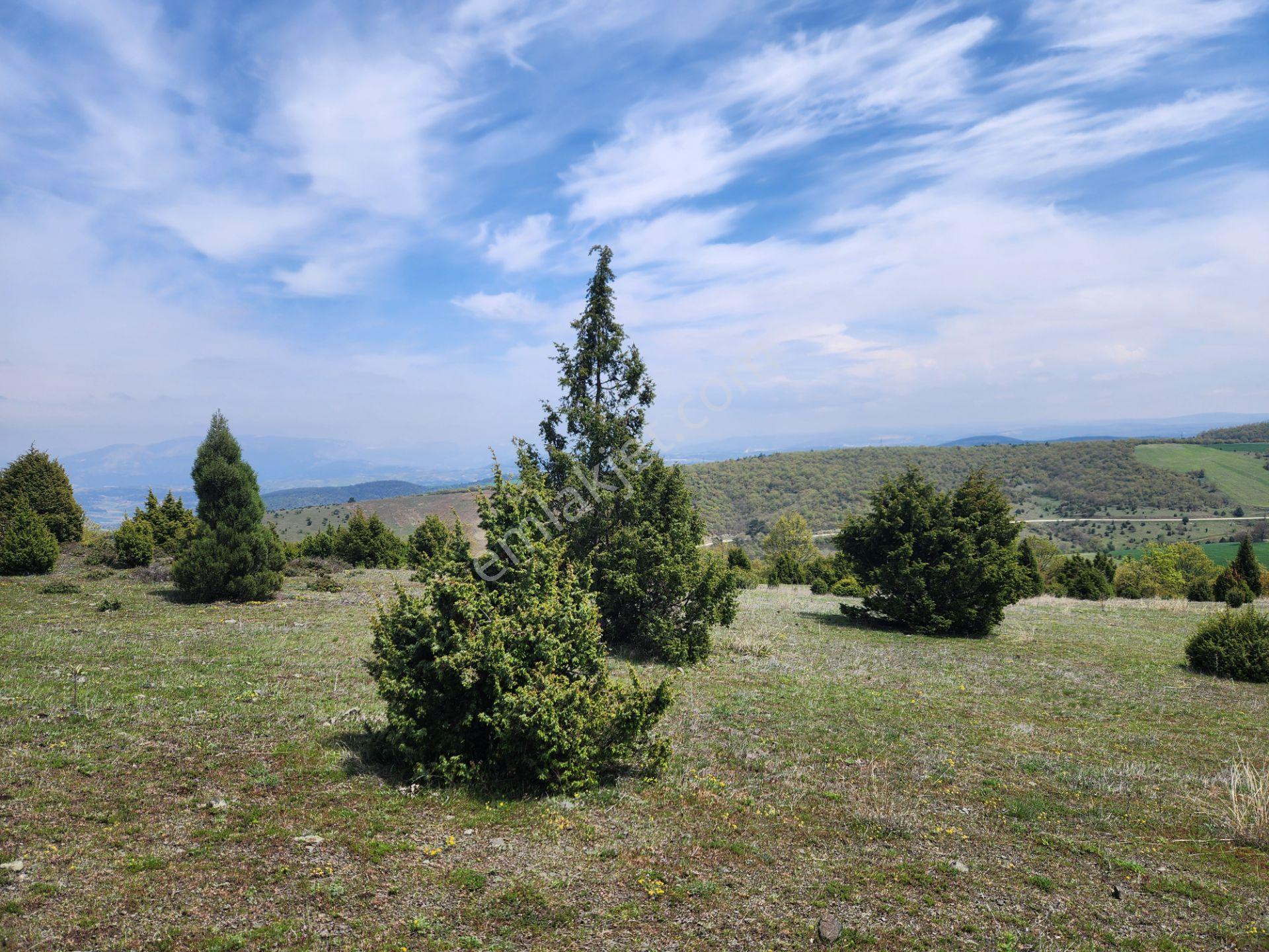 Bilecik Merkez Şükraniye Mah. 1073 M2 Tarla Köy Manzaralı - Görsel 21
