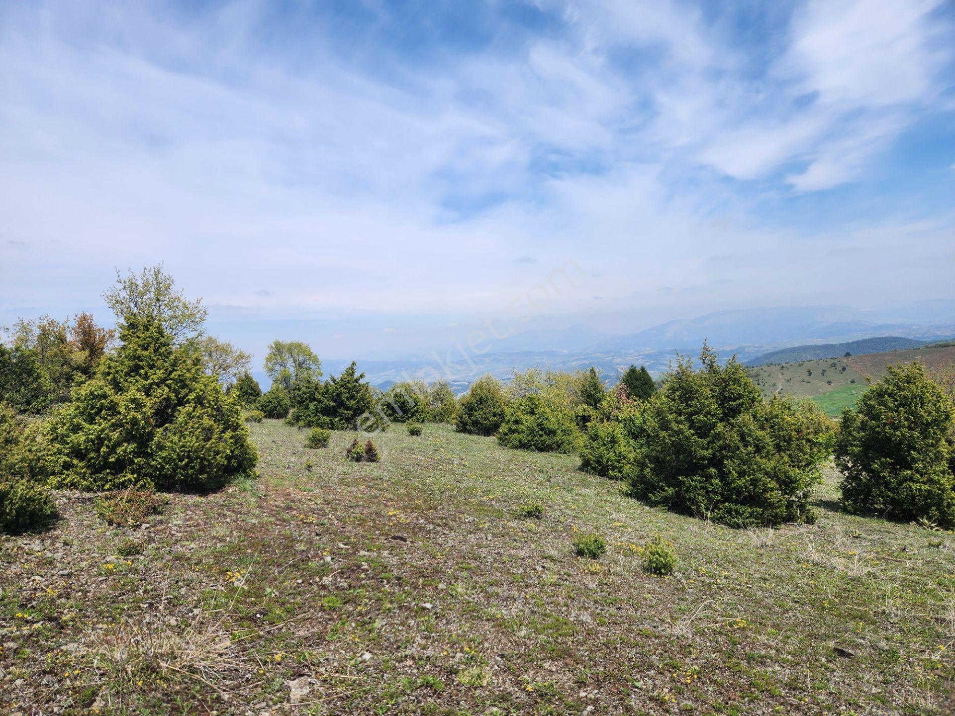 Bilecik Merkez Şükraniye Mah. 1073 M2 Tarla Köy Manzaralı - Görsel 16